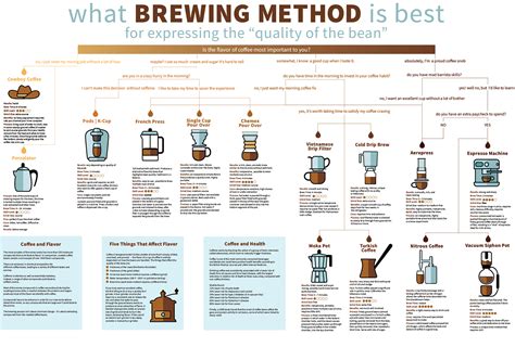 Forest peak witchcraft brew infographics